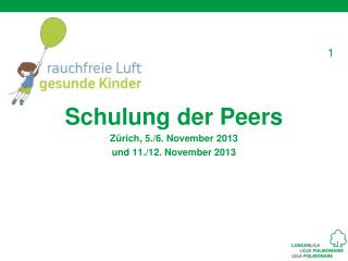 Schulung der Peers Zürich, 5./6. November 2013 u nd 11./12. November 2013
