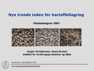 Nye trends inden for kartoffellagring