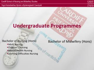 Undergraduate Programmes