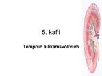 5. kafli