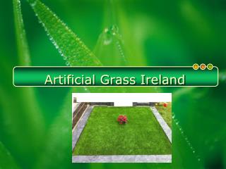 Artificial Grass Suppliers