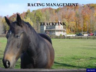 RAC ING MANAGEMENT