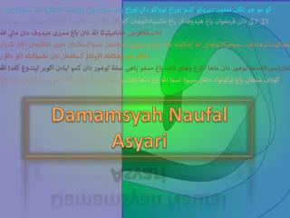 Damamsyah Naufal Asyari