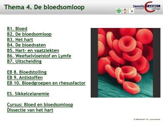 Thema 4. De bloedsomloop