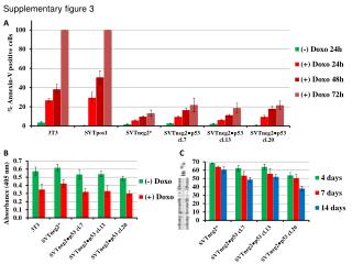 Supplementary figure 3