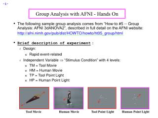 Group Analysis with AFNI - Hands On