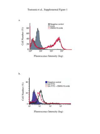 Tsutsumi et al., Supplemental Figure 1