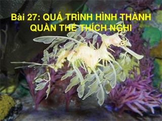 BÀI 27: QUÁ TRÌNH HÌNH THÀNH QUẦN THỂ THÍCH NGHI