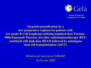 Réunion de lancement Z-BEAM 10 Février 2005