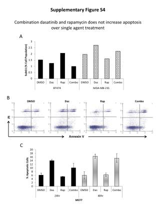 Annexin V