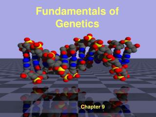 Fundamentals of Genetics