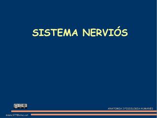 SISTEMA NERVIÓS