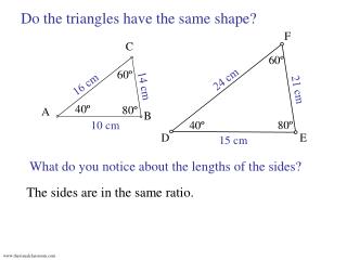 Do the triangles have the same shape?