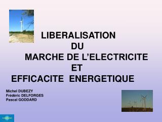 LIBERALISATION 				DU 	 MARCHE DE L’ELECTRICITE ET
