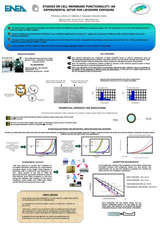 STUDIES ON CELL MEMBRANE FUNCTIONALITY: AN EXPERIMENTAL SETUP FOR LIPOSOME EXPOSURE