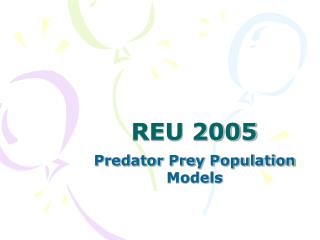 REU 2005