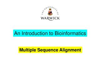 Multiple Sequence Alignment