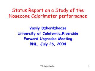 Status Report on a Study of the Nosecone Calorimeter performance