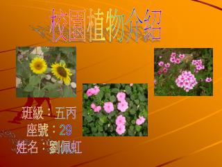 校園植物介紹
