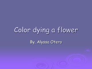 Color dying a flower