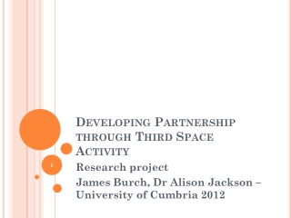 Developing Partnership through Third Space Activity