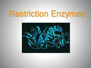 Restriction Enzymes