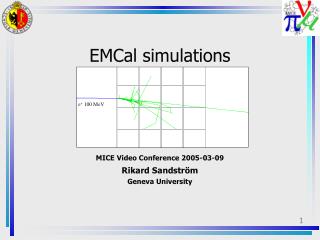 EMCal simulations