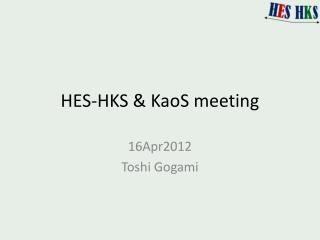 HES-HKS &amp; KaoS meeting