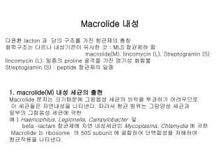 Macrolide 내성