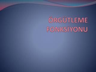 ÖRGÜTLEME FONKSİYONU