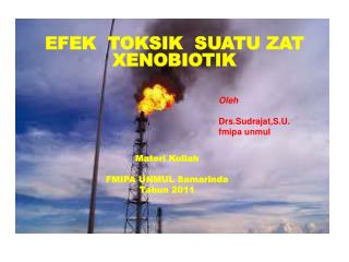 EFEK TOKSIK SUATU ZAT XENOBIOTIK