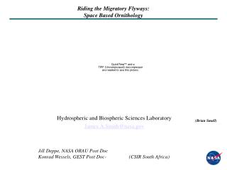 Riding the Migratory Flyways: Space Based Ornithology