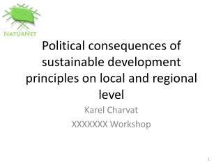 Political consequences of sustainable development principles on local and regional level