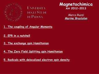 Magnetochimica AA 2012-2013 Marco Ruzzi Marina Brustolon