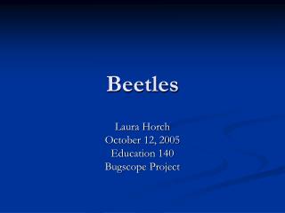 Beetles