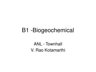 B1 -Biogeochemical