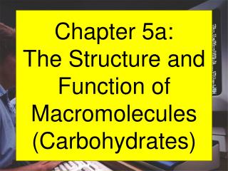 Chapter 5a: The Structure and Function of Macromolecules (Carbohydrates)