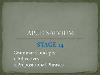 APUD SALVIUM