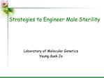 Strategies to Engineer Male Sterility