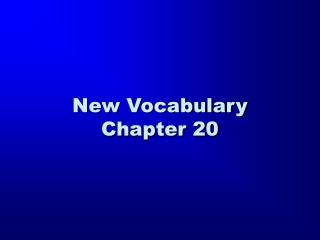 New Vocabulary Chapter 20