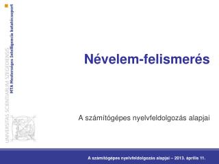 Névelem-felismerés