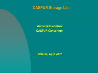 CASPUR Storage Lab