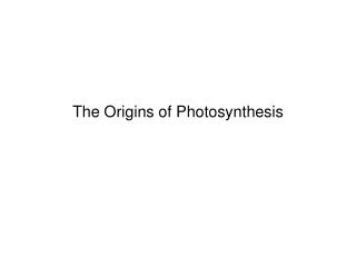 The Origins of Photosynthesis
