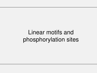 Linear motifs and phosphorylation sites