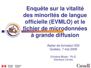 Atelier de formation IDD Québec, 7 mai 2009 Christine Blaser, Ph.D. Statistique Canada