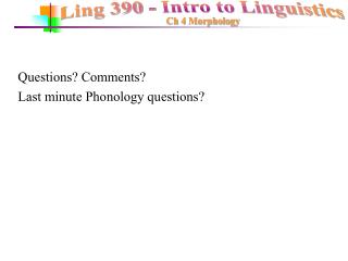 Questions? Comments? Last minute Phonology questions?