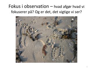 Fokus i observation – hvad afgør hvad vi fokuserer på? Og er det, det vigtige vi ser?