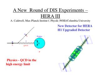 Physics - QCD in the high energy limit