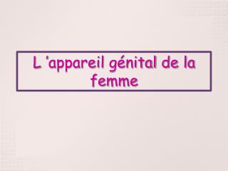 L ’ appareil génital de la femme