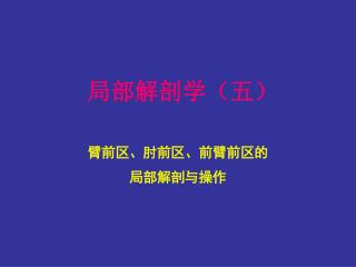 局部解剖学（五）
